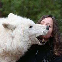 Anna Langguth (@langguthanna) 's Twitter Profile