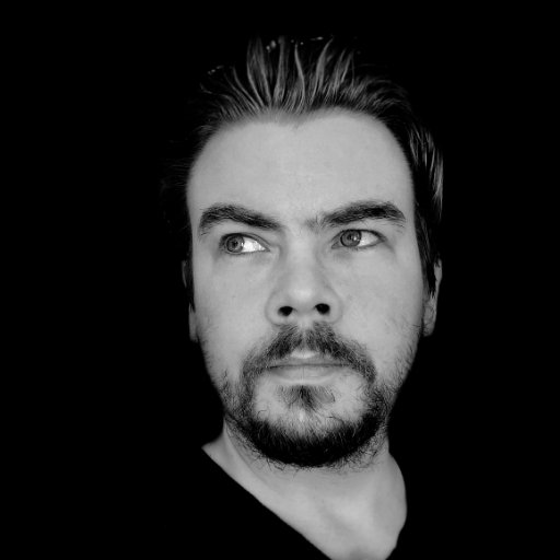 toreinarrogn's profile picture. 