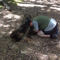 Johnathon (Johno) Ridden (@johnathonridden) 's Twitter Profile Photo