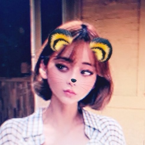 miwa8877's profile picture. 世の中の可愛いモノ美しいモノに激しく反応😍