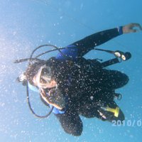 David Thompson (@davidth02563212) 's Twitter Profile