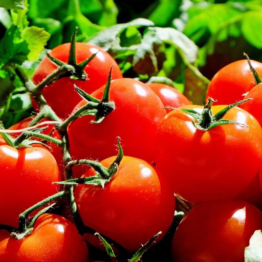 joshua02194's profile picture. 