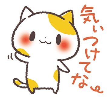 猫好きテニス好き子供の頃から猫と一緒の生活をしていました。
皆様の猫ちゃん達に癒やされてます。菊池亮太さんのピアノが大好きです。よろしくお願いいたします。