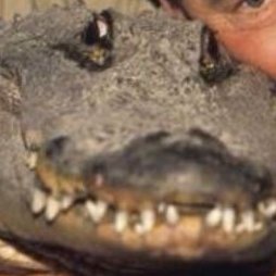 randerdile's profile picture. A sweet dile