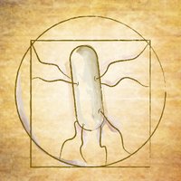 Grabowicz lab (@grabowiczlab) 's Twitter Profile Photo Grabowicz lab (@grabowiczlab) 's Twitter Profile Photo
