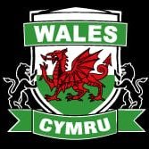 wales6aside Profile Picture