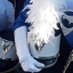 Fairmont Woodwinds (@fwoodwinds) Twitter profile photo Fairmont Woodwinds (@fwoodwinds) Twitter profile photo