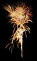 acepyrollc's profile picture. A professional fireworks display company serving the upper Midwest. Feast Your Eyes, Fuel Your Passion!