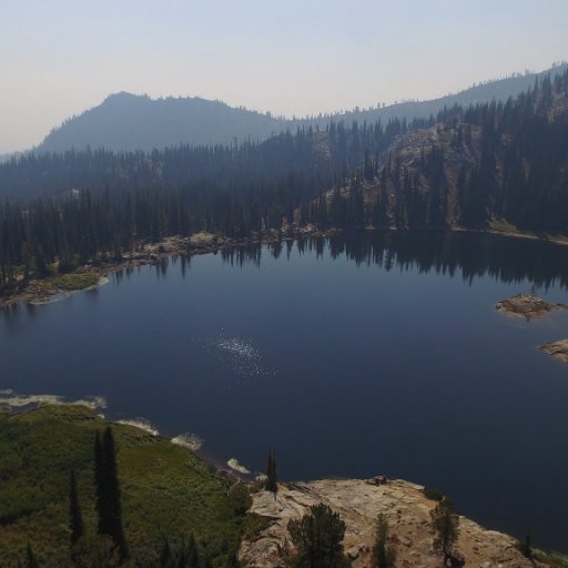 mammoth77's profile picture. Perpetual Hillbilly Nerd