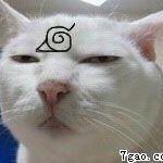 chen512's profile picture. 学习中......