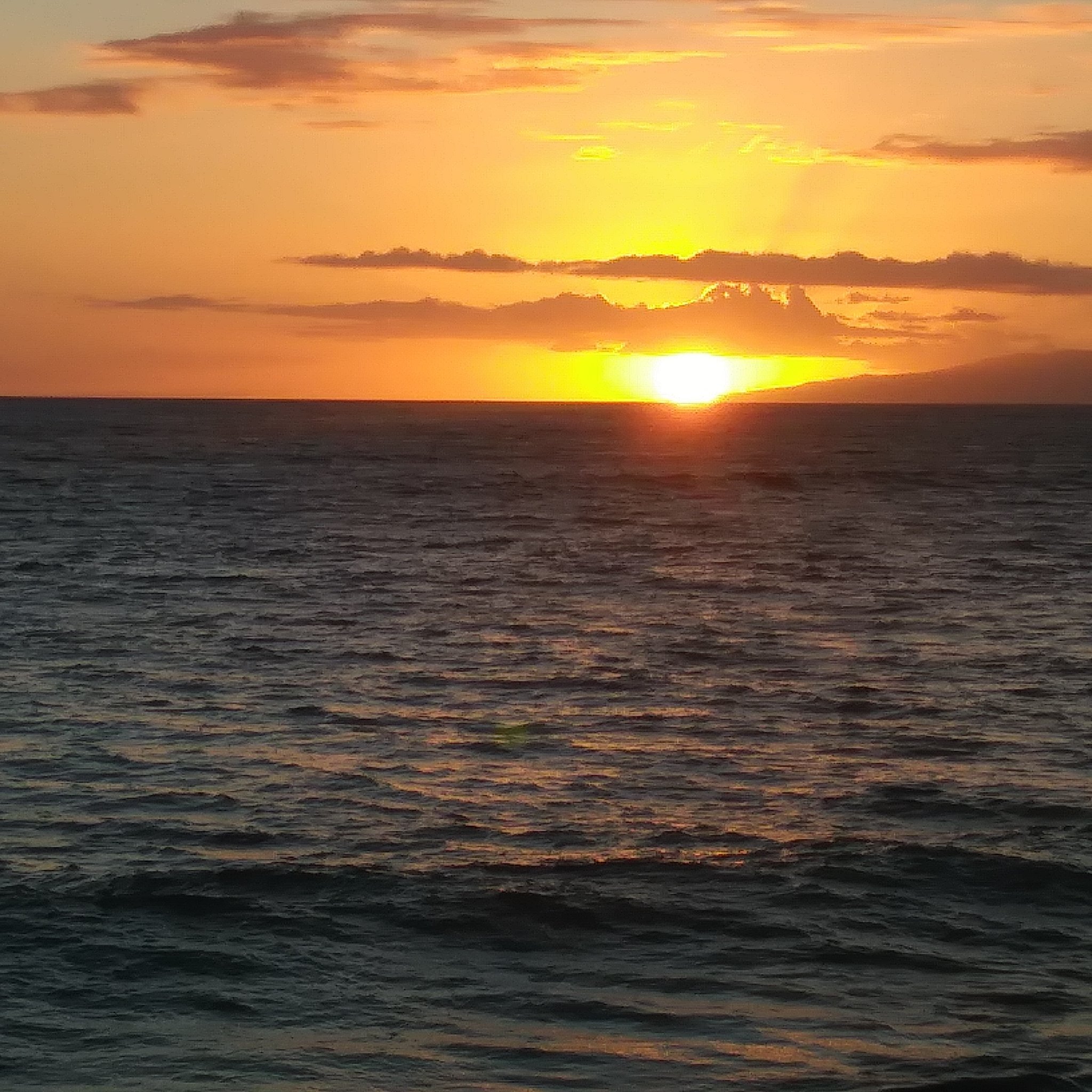 author_brenda_d's profile picture. Author. Writes from Southern Indiana.
REDEMPTION ON A KENTUCKY POOR FARM,
GRACIE AND MARGE: Kicking the Bucket Together 
LIFE IN ITS OWN FRAME OF REFERENCE