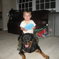 Scott Gaffney (@sdg) 's Twitter Profile