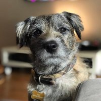 Yoji Bridges (@yojibridges) 's Twitter Profile