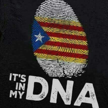 isaolivanm's profile picture. 