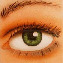 sundaramvi's profile picture. 