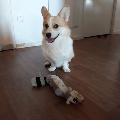 Transpack's profile picture. 