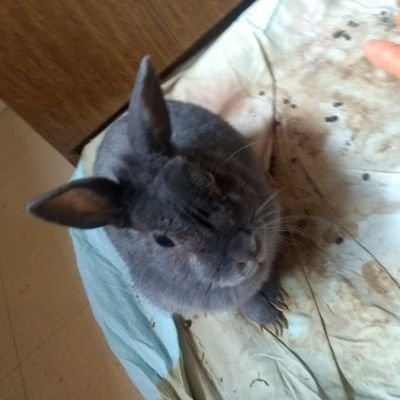 Serge28333153's profile picture. 