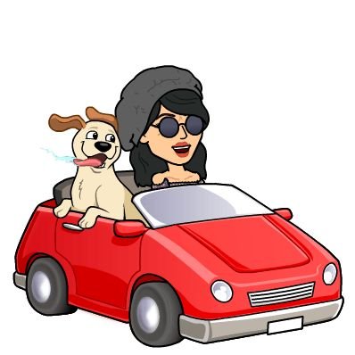 cheetahce's profile picture. 