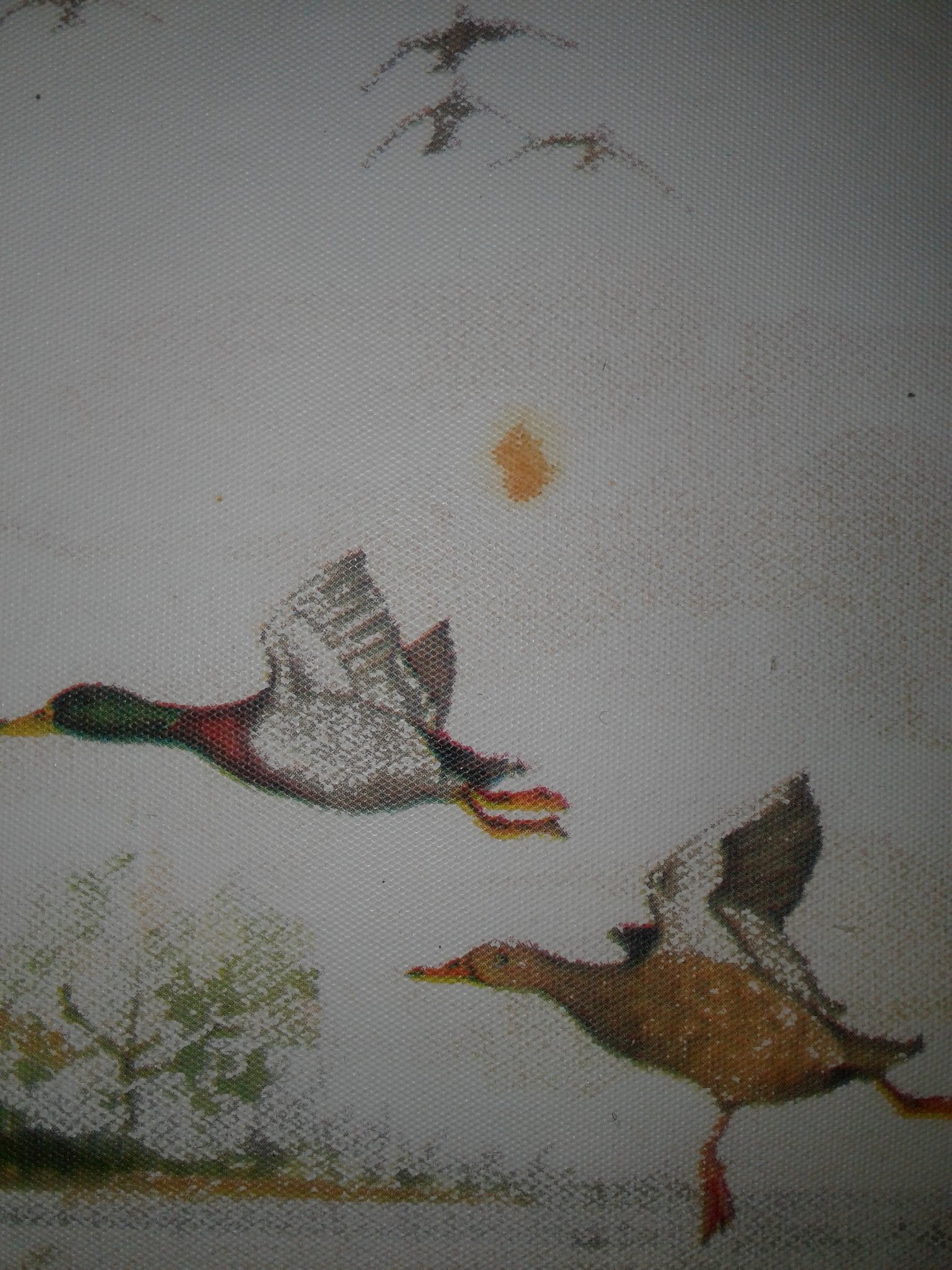 AntoniaArgelia's profile picture. 