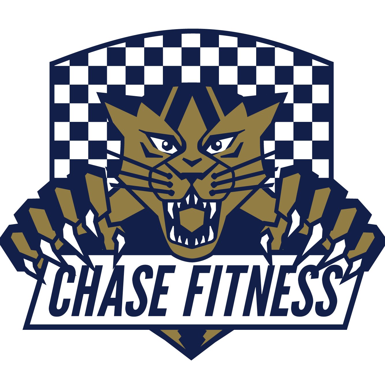 Commit. Chase. Conquer.
Chase fitness is creating a fitness culture that is empowering, enjoyable, and effective.
