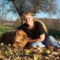 Brenda Whaley - @Brenda42430120 Twitter Profile Photo