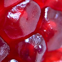 etl2009's profile picture. 