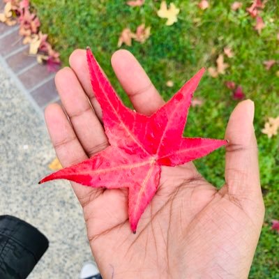 ColeenIona's profile picture. https://t.co/neUAa2V6nY