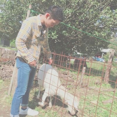 10_tai_02's profile picture. 98'/
広島商業→MSH医療