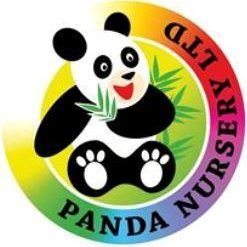 Panda is a family run nursery with over 9 years experience within the childcare sector. Providing the best quality childcare parents can ask for.