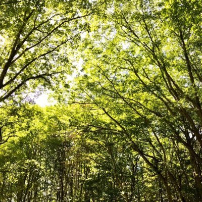 fukushimakidsmm's profile picture. 福島県の子ども達と長野県のアファンの森で心も身体も解放して遊ぼう！という公益財団法人イオンワンパーセントクラブが行っている事業です。C.W.ニコルさんが作り上げたアファンの森で、森のプロフェッショナルと共に森と一体となります。