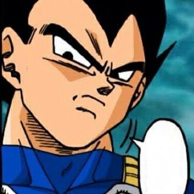 ❝There is nothing more precious to a Saiyan than his pride. It's what gives us the strength to overcome anything before us.❞ 【#DBRP|#MVRP】