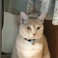ack.io@47歳腰痛四十肩老眼高血圧エンジニア (@ack_io) 's Twitter Profile