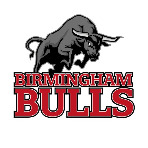 Official tweets of the Birmingham Bulls American Football club. #unitedwestand #UWS #MFC1division