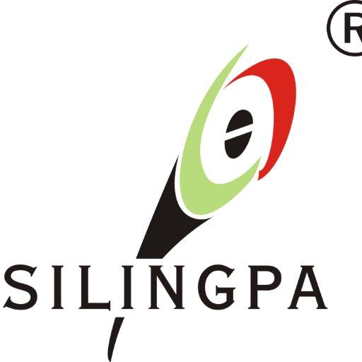 silingpalights's profile picture. We are specialized in #Christmas lights field , #Holidaylights ,#Christmaslights ,#laserprojector, String lights ,#Fairylights #christmasdecoration