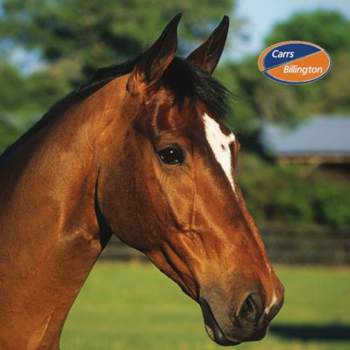 Welcome to the range of Champion Horse Feed from Carrs Billington! 🐴