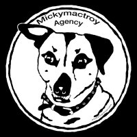 Mickymactroy (@mickymactroy) 's Twitter Profile