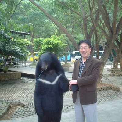 ビルマの竪琴 Mike Bird Birdyword 70 53 Shinzo Abe Has Installed The Beaver Door Knocker He Brought Back From Canada この動画は去年の5月の物ですね T Co Kxanbgwafa