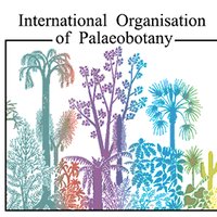 international org palaeobotany (@iop_palaeo) 's Twitter Profile