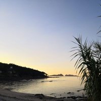 𝛂m𝛂li𝛂 (@alfita2017) 's Twitter Profile Photo