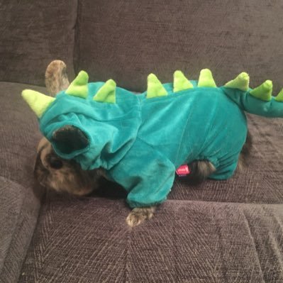 botsolutions's profile picture. Esports consultants specialised to helping those based in South Africa.