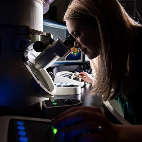 🔬🇨🇦☘🏳️‍🌈 @royalsociety University Research Fellow @ImpMaterials STEMer chasing multiferroic topologies. PNNL KAUST UCC Tyndall alum #FirstGen Views my own