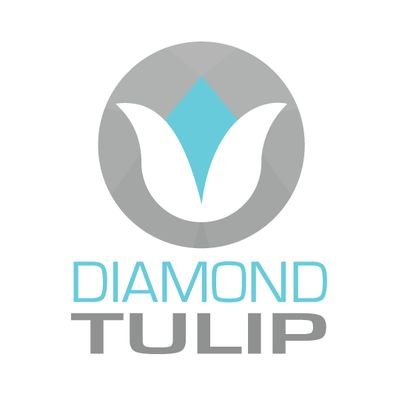 Diamond Tulip Investments