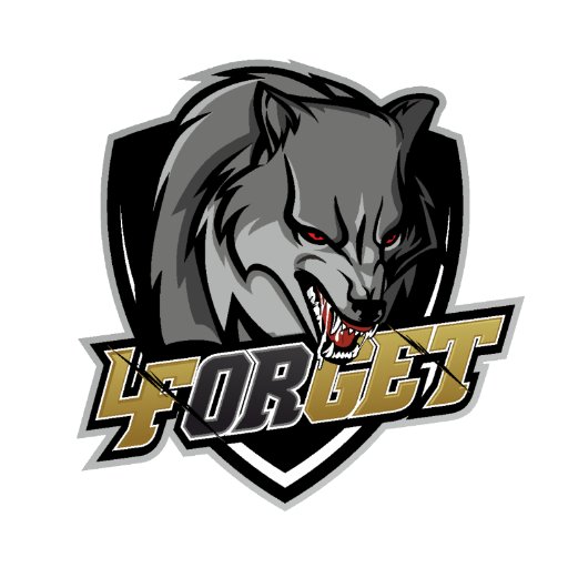 team_forget Profile Picture