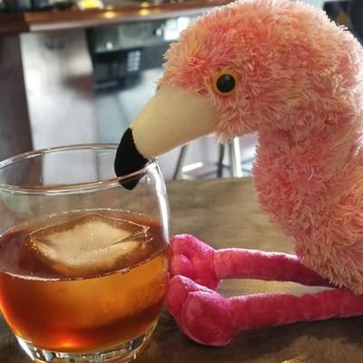 Poker, Travel, and Babble.
Views here are from a pink flamingo and fuzzy otter, and may or may not be fictional. *There is no try, there is only do*