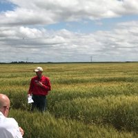 Cody Creech (@ne_drylandcrops) 's Twitter Profile