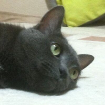 microcode_n's profile image
