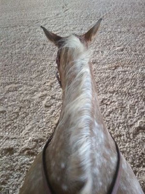 Mupfel1111's profile picture. 