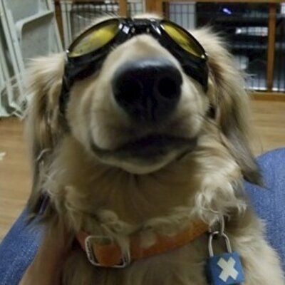 変態犬チョッパー Smile Chopper Twitter