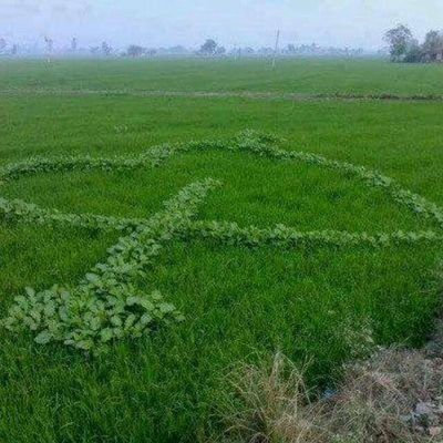 alsowyobomoham5's profile picture. ‏الصقر ماتلعب عليه العصافير ……… .الشكر موصول لكل من تابعني