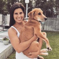 Ms. Giever (@hgiever) 's Twitter Profile